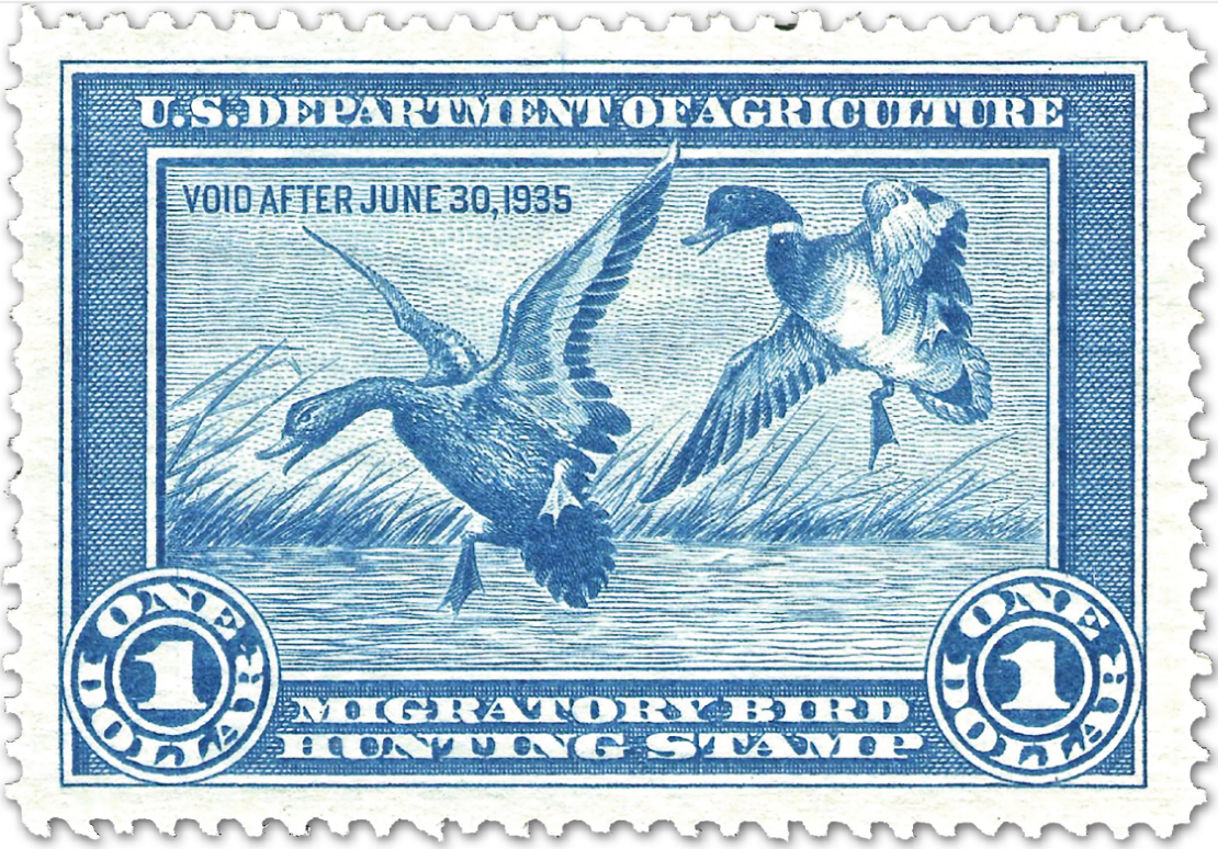 Blue and white image of the the first Federal Duck Stamp in 1934.